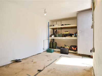 Picture 15